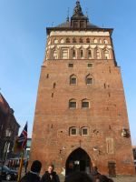 img_danzig201811_001