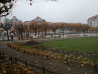 img_danzig201811_139