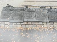 img_danzig201811_175