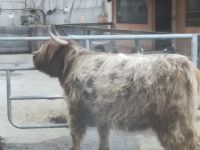 img_luzern201812_057