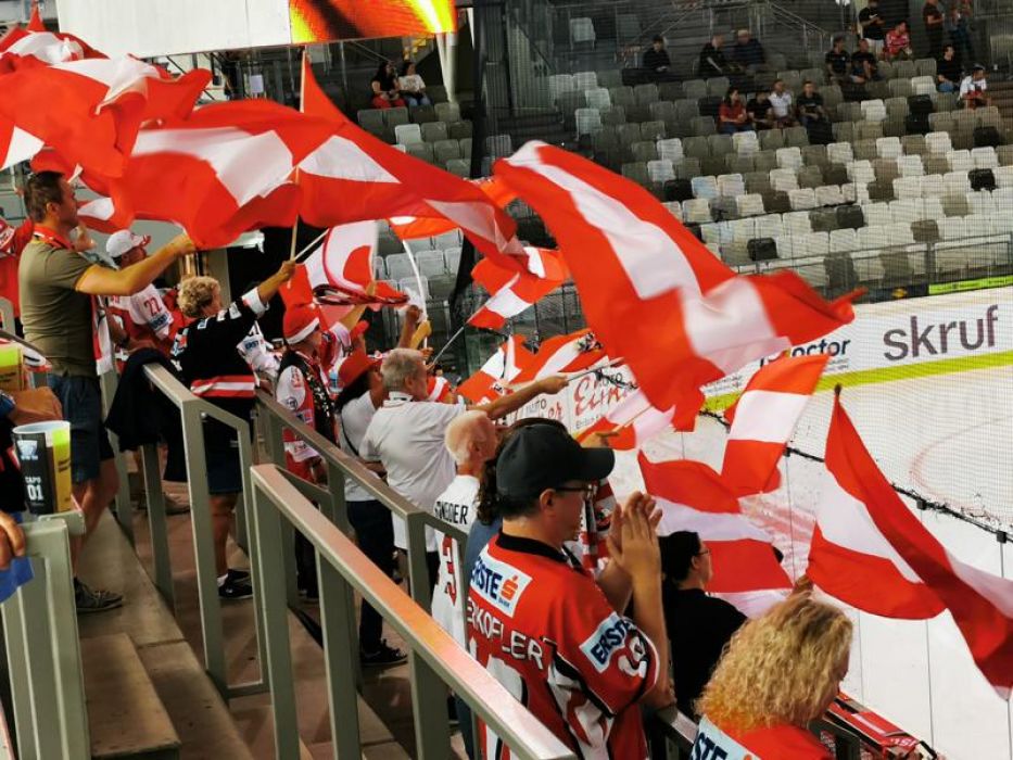 UFTA Fansektor in Wien